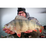 Ripper REDBASS KICKER S - 70 mm