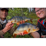 Ripper REDBASS KICKER S - 70 mm