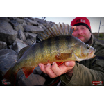 Ripper REDBASS KICKER S - 70 mm