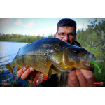 Ripper REDBASS KICKER S - 70 mm