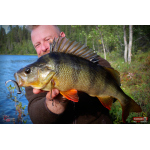 Ripper REDBASS KICKER S - 70 mm