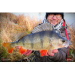 Ripper REDBASS KICKER S - 70 mm