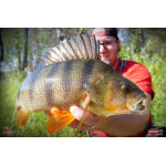 Ripper REDBASS KICKER S - 70 mm