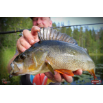 Ripper REDBASS KICKER S - 70 mm