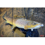 Ripper REDBASS KICKER S - 70 mm