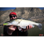 Ripper REDBASS KICKER XL - 125 mm