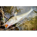 Ripper REDBASS KICKER XL - 125 mm