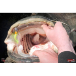 Ripper REDBASS KICKER XL - 125 mm