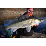 Ripper REDBASS KICKER XX - 155 mm