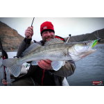 Ripper REDBASS KICKER XX - 155 mm