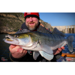 Ripper REDBASS KICKER XX - 155 mm