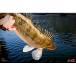 Ripper REDBASS KICKER XX - 155 mm