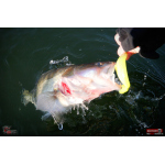 Ripper REDBASS KICKER XX - 155 mm