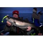 Ripper REDBASS KICKER XX - 155 mm