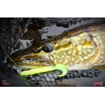 Twister REDBASS KIXTER L - 100 mm
