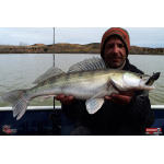 Twister REDBASS KIXTER XX - 155 mm