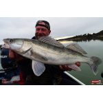 Twister REDBASS KIXTER XX - 155 mm
