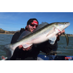 Twister REDBASS KIXTER XX - 155 mm