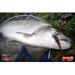 Ripper REDBASS MAGNETO S - 67 mm