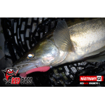 Set Streamer Cheburashka