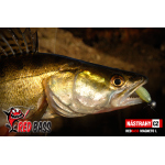Set Streamer Cheburashka
