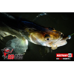 Set Streamer Cheburashka