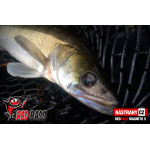 Ripper REDBASS MAGNETO S - 67 mm
