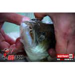 Ripper REDBASS MAGNETO S - 67 mm