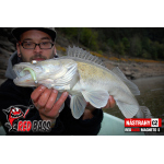 Ripper REDBASS MAGNETO S - 67 mm