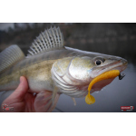 Ripper REDBASS MAGNETO S - 67 mm
