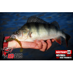 Ripper REDBASS MAGNETO S - 67 mm
