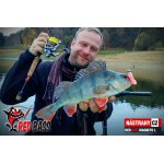 Set Streamer Cheburashka