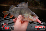 Ripper REDBASS MAGNETO S - 67 mm