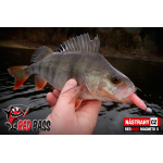 Ripper REDBASS MAGNETO S - 67 mm