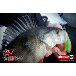 Ripper REDBASS MAGNETO S - 67 mm