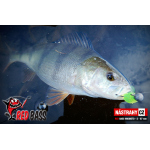 Ripper REDBASS MAGNETO S - 67 mm