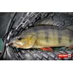 Ripper REDBASS MAGNETO S - 67 mm