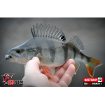 Ripper REDBASS MAGNETO S - 67 mm