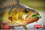Ripper REDBASS MAGNETO L - 96 mm