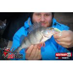 Set Streamer Cheburashka