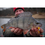 Ripper REDBASS MAGNETO S - 67 mm