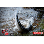 Ripper REDBASS MAGNETO S - 67 mm