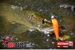 Ripper REDBASS MAGNETO L - 96 mm