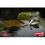 Ripper REDBASS MAGNETO S - 67 mm