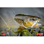 Ripper REDBASS MAGNETO XS - 53 mm