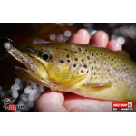 Ripper REDBASS MAGNETO XS - 53 mm