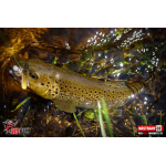 Ripper REDBASS MAGNETO XS - 53 mm