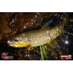 Ripper REDBASS MAGNETO XS - 53 mm