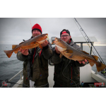 Discounted set NORWAY