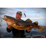Discounted set NORWAY